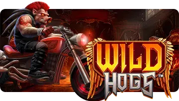 Wild Hogs thumbnail