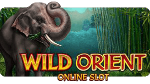 Wild Orient thumbnail