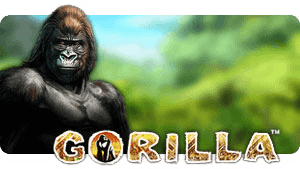 Gorilla™