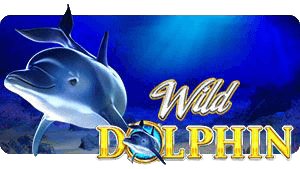 Wild Dolphin thumbnail