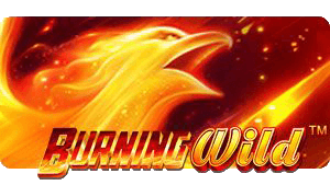 BURNING Wild