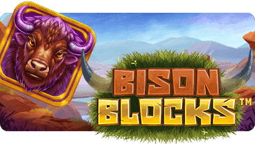Bison Blocks thumbnail