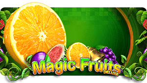 Magic Fruits Deluxe  thumbnail