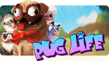 Pug Life thumbnail
