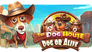 The Dog house Dog or Alive thumbnail