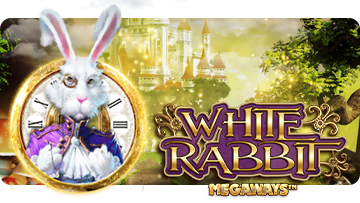 White Rabbit thumbnail